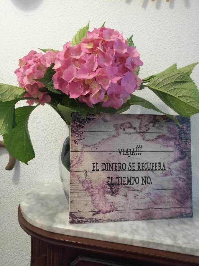 Apartamento Rio Agueera En Guriezo, Next To Castro Urdiales Y Bilbao Adino Ngoại thất bức ảnh