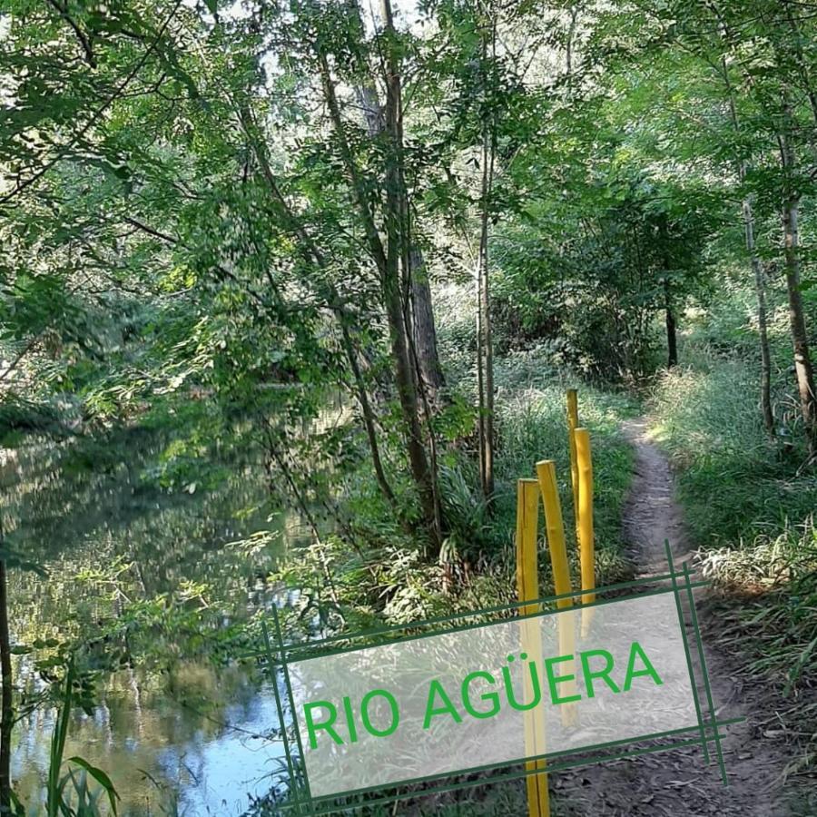 Apartamento Rio Agueera En Guriezo, Next To Castro Urdiales Y Bilbao Adino Ngoại thất bức ảnh