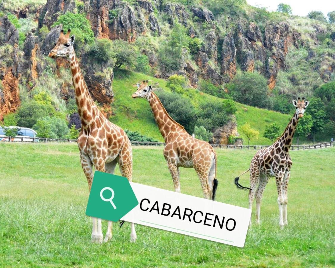 Apartamento Rio Agueera En Guriezo, Next To Castro Urdiales Y Bilbao Adino Ngoại thất bức ảnh